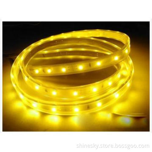 SMD 5050 Waterproof LED Light 12V